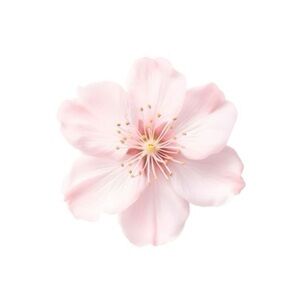 Meet your Posher; More about my shop!